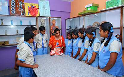 Laboratories